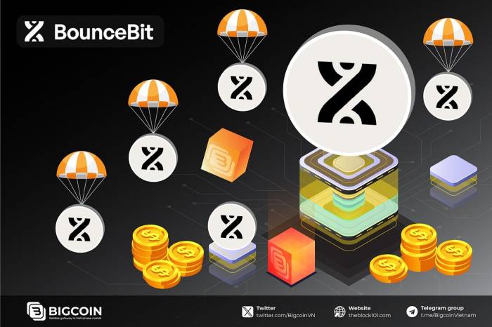 Long-term potential of participating in Bitcoin airdrops
