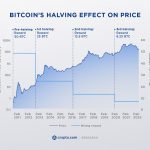 The impact of institutional investment on Bitcoin and Ethereum price volatility.